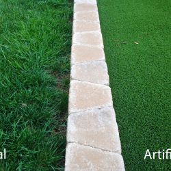 artificial grass